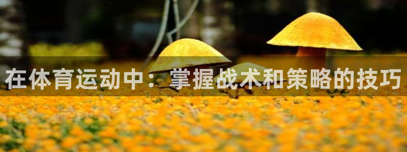 必威betway西汉姆联