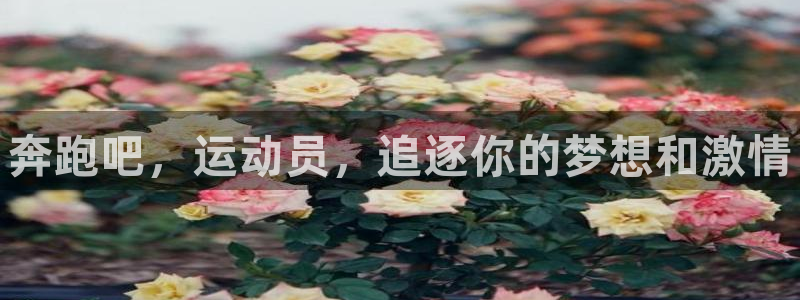 betway西汉姆